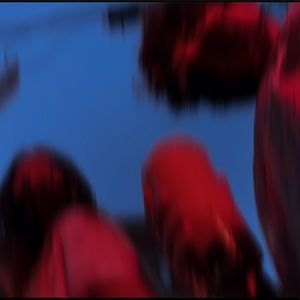 Meet your Posher, Beatrice